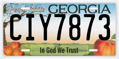 GA license plate CIY7873