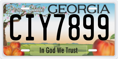 GA license plate CIY7899