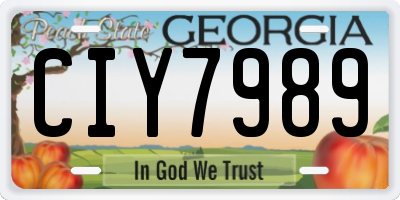 GA license plate CIY7989