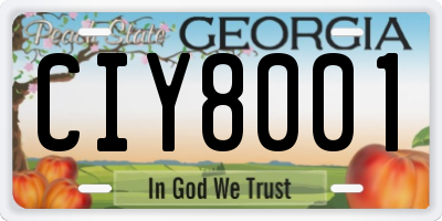 GA license plate CIY8001