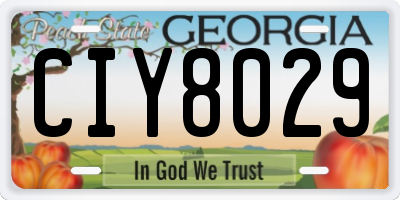 GA license plate CIY8029