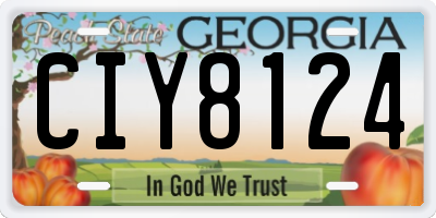 GA license plate CIY8124