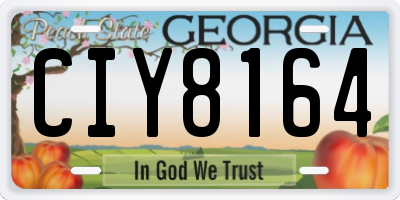 GA license plate CIY8164