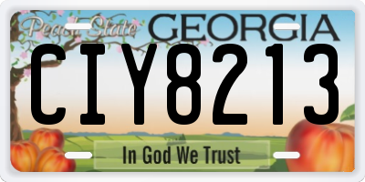 GA license plate CIY8213