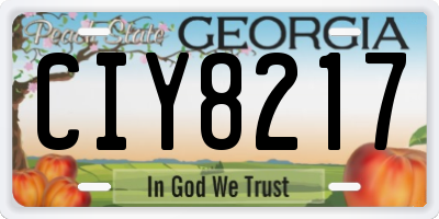GA license plate CIY8217