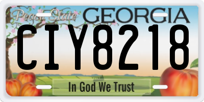 GA license plate CIY8218
