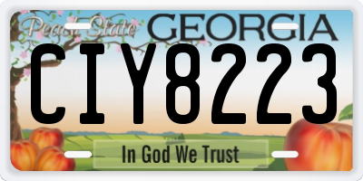 GA license plate CIY8223