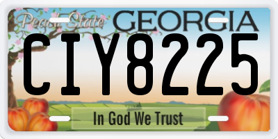 GA license plate CIY8225