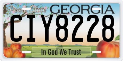 GA license plate CIY8228