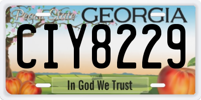 GA license plate CIY8229