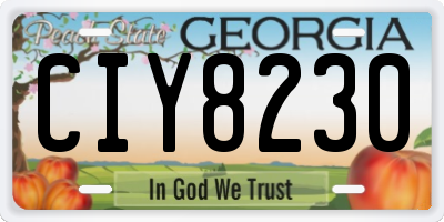 GA license plate CIY8230