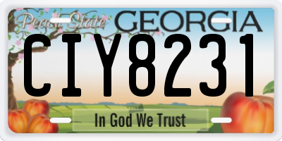 GA license plate CIY8231