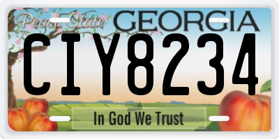 GA license plate CIY8234