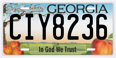 GA license plate CIY8236