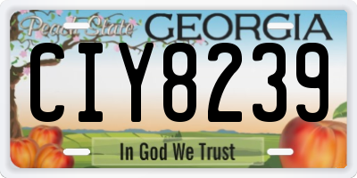GA license plate CIY8239
