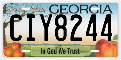 GA license plate CIY8244