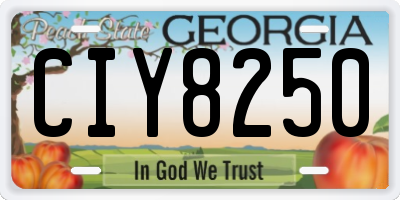 GA license plate CIY8250