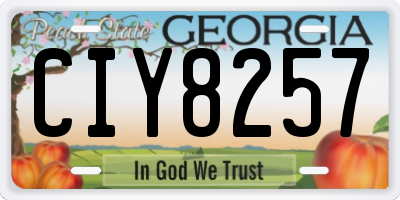 GA license plate CIY8257