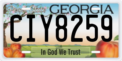 GA license plate CIY8259