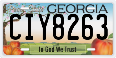 GA license plate CIY8263