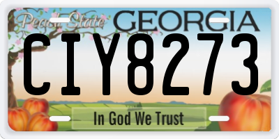 GA license plate CIY8273