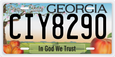 GA license plate CIY8290