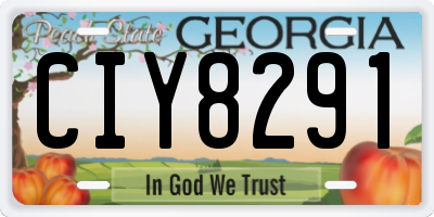 GA license plate CIY8291