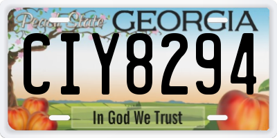 GA license plate CIY8294