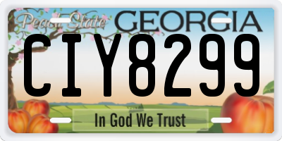 GA license plate CIY8299