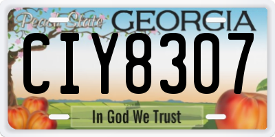 GA license plate CIY8307
