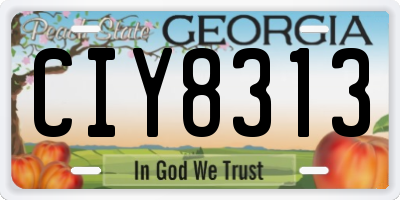 GA license plate CIY8313