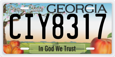 GA license plate CIY8317