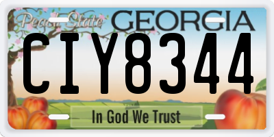 GA license plate CIY8344
