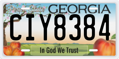 GA license plate CIY8384