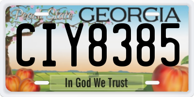 GA license plate CIY8385