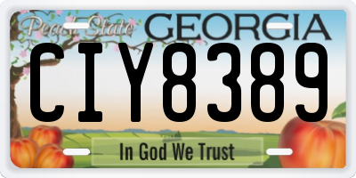 GA license plate CIY8389