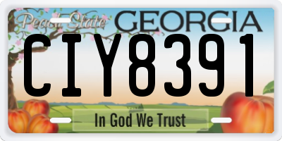 GA license plate CIY8391