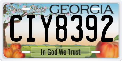 GA license plate CIY8392