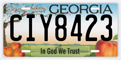 GA license plate CIY8423