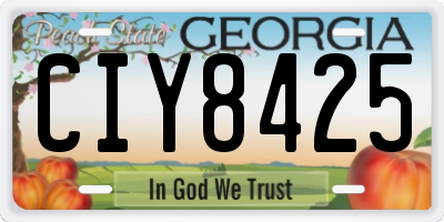 GA license plate CIY8425