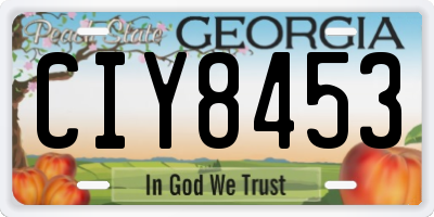 GA license plate CIY8453