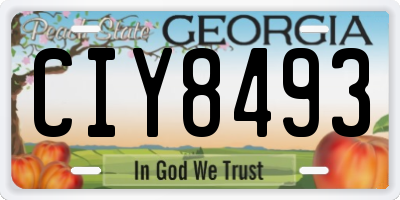 GA license plate CIY8493