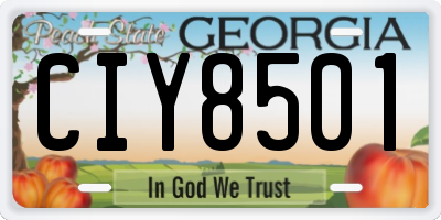 GA license plate CIY8501