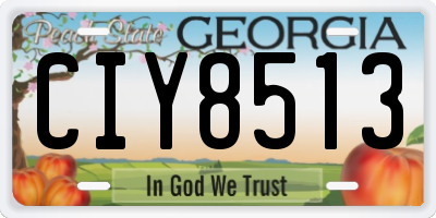 GA license plate CIY8513