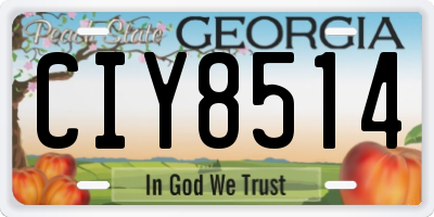 GA license plate CIY8514