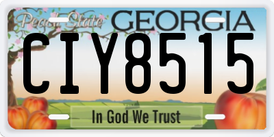 GA license plate CIY8515