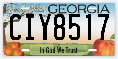 GA license plate CIY8517