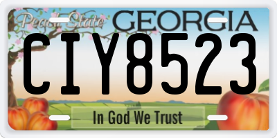 GA license plate CIY8523