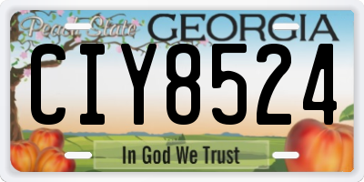 GA license plate CIY8524