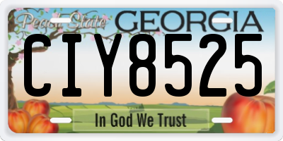 GA license plate CIY8525
